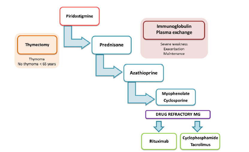 GDP胆碱_中国gdp增长图(3)