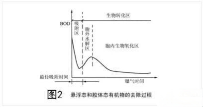 常用的技术透析的原理是什么_肝透析是什么情况