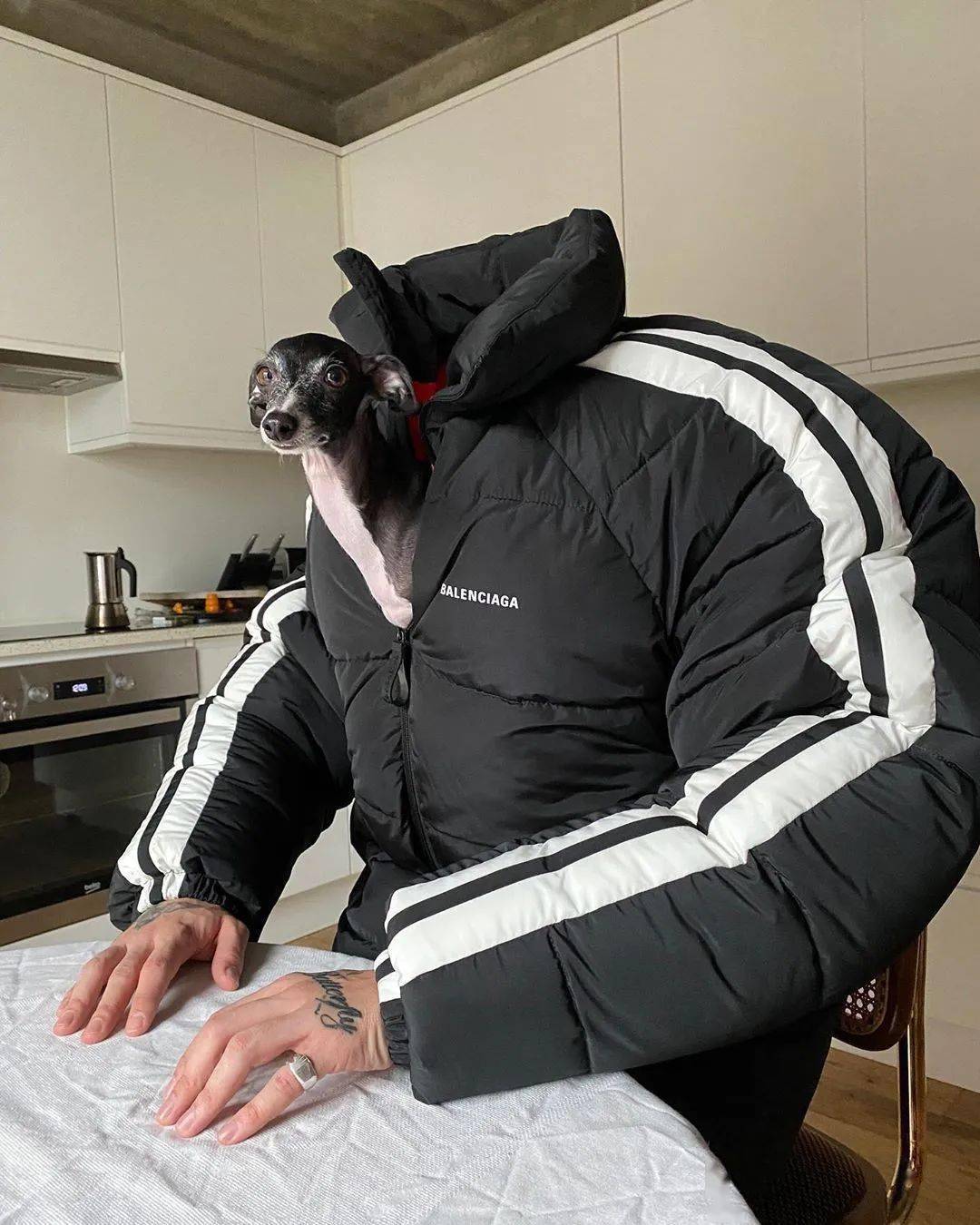 中老年人|巴黎世家致敬中老年人表情包，居然有点酷！