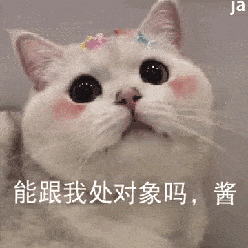 【爆笑段子】治愈系猫咪表情包,太可爱了快收好!哈哈哈哈.