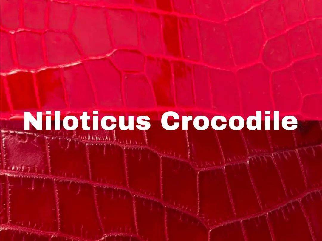 dream|一分钟带你看完人人都想要的“dream bag” — HERMES Kelly