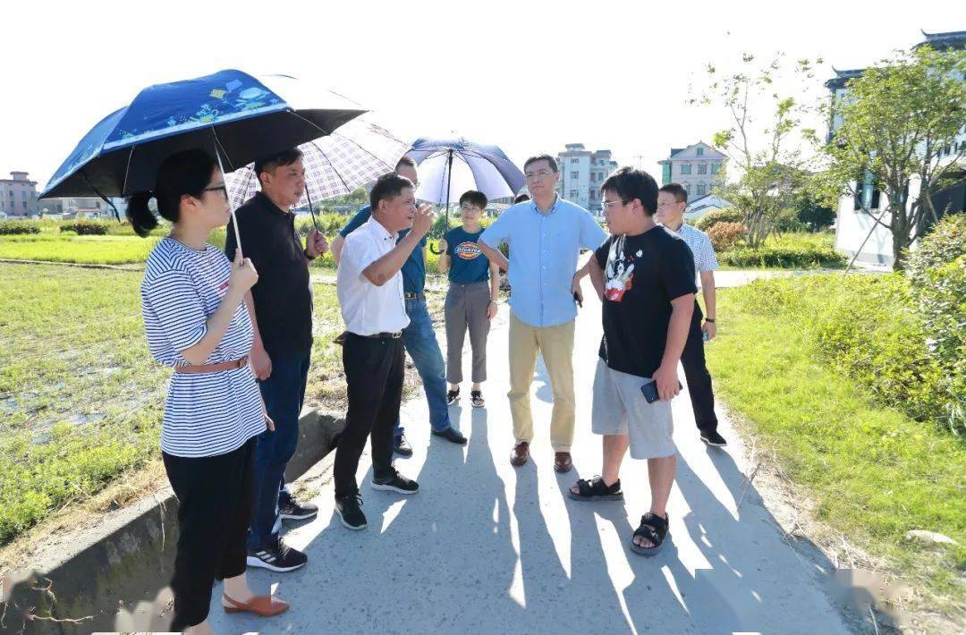 杭州市建委党组成员巡视员叶青一行赴益农镇指导镇龙殿净水公园建设