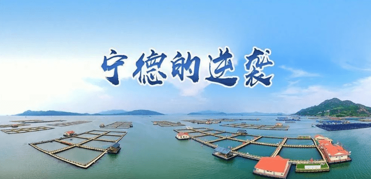 弱鸟先飞今翱翔闽东宁德振兴启示录