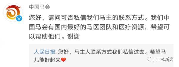 噩耗传来|3男子骑马冲进海里救起12岁男孩！半个月后，噩耗传来…