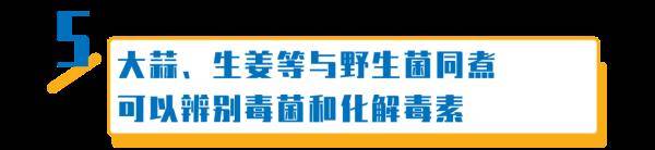 杨维涵|云南人吃菌等级考试