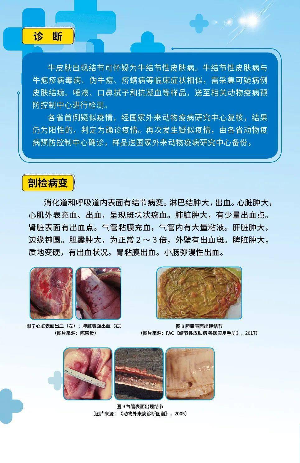 中国动卫中心发布《牛结节性皮肤病防控知识手册》《牛结节性皮肤病