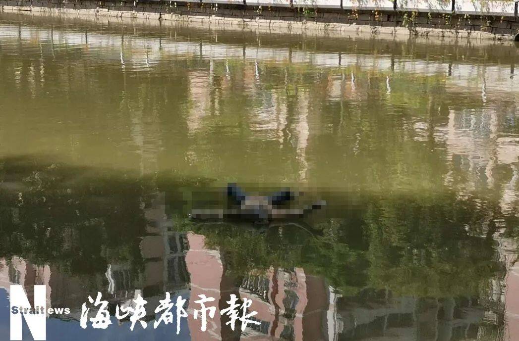 福州晋安河一具漂浮女尸身份无法确认,警方已介入