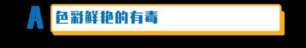 杨维涵|云南人吃菌等级考试
