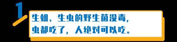 杨维涵|云南人吃菌等级考试
