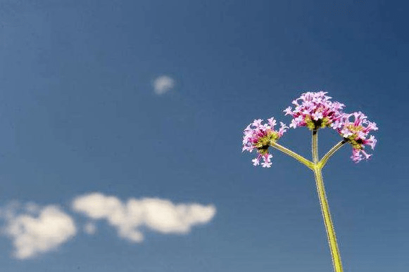 名誉|夜读｜名誉高处找不到遮身之地