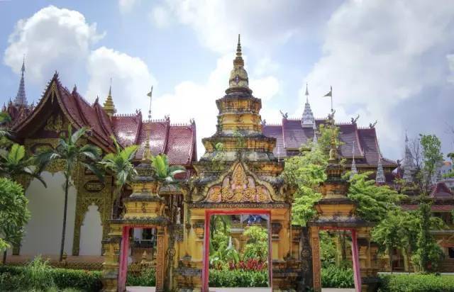 热带雨林|还好吃！【逛吃】西双版纳不仅美