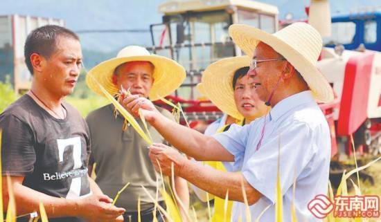 袁野|浦城再生稻 迎来丰收季