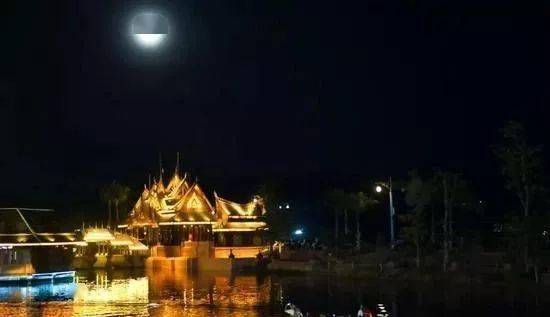 热带雨林|还好吃!【逛吃】西双版纳不仅美