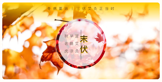 03cfde15be2449aba114443215512d8c.png