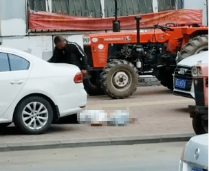 妻子|哈尔滨男子民政局附近刺死妻子及其姑夫，自杀未遂