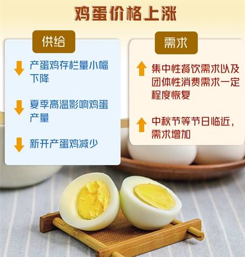 朱宁|供需结构变化助推鸡蛋价格走高