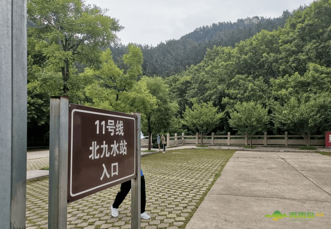 崂山|每年暑假都要招待亲戚，青岛一男子大呼：“伤不起！”