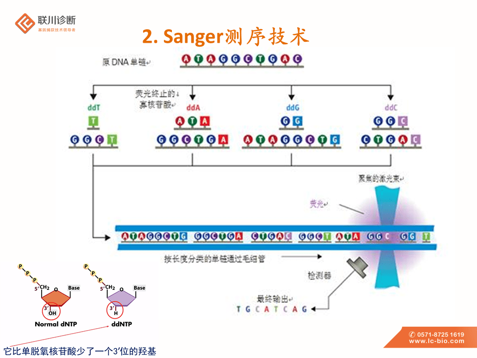 新一代测序技术的那些事儿