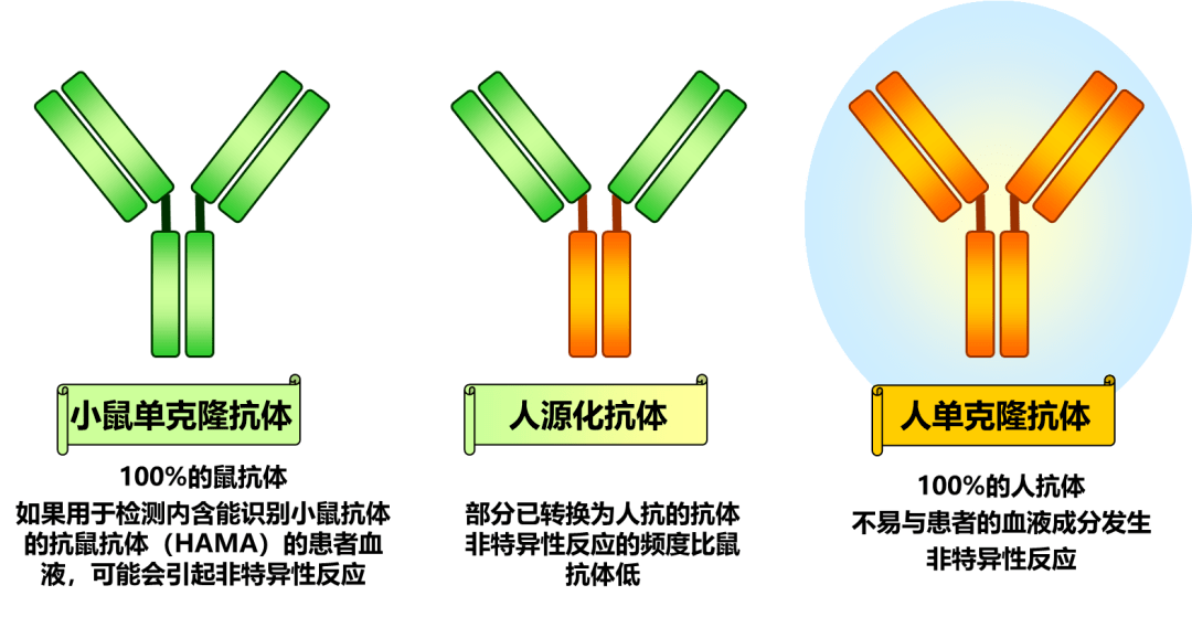c7190e18ee074212aebf7038484bdedb.png