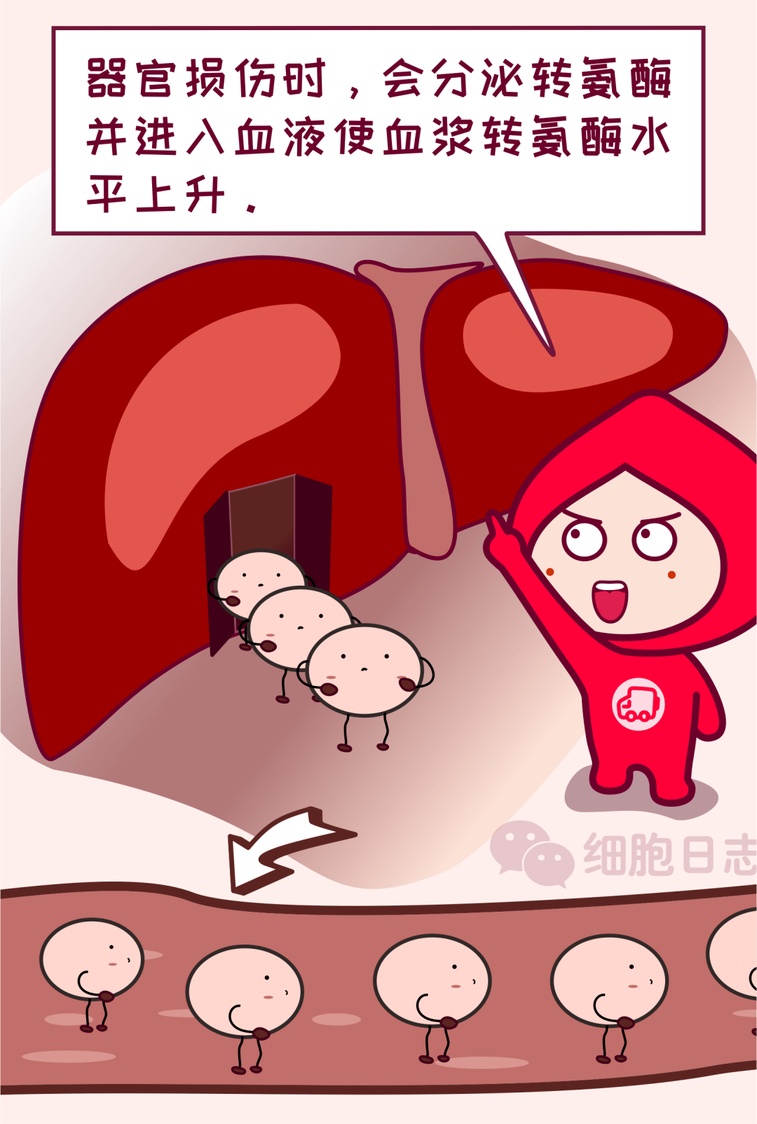 cc6df283fb594041a12cb45a083a4adf.png