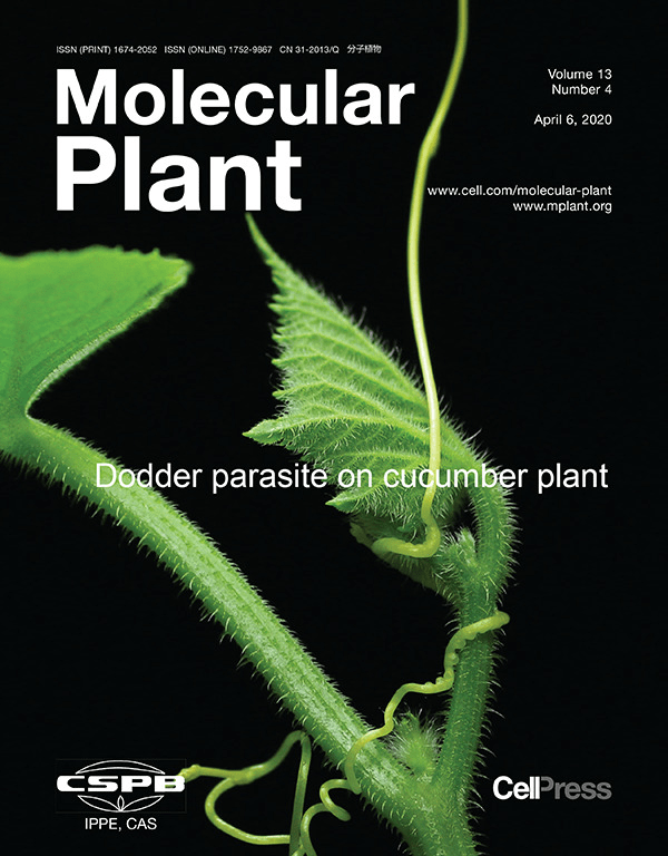 植物学排名_植物学分类法