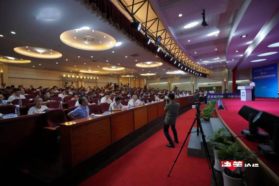 2020安徽县域gdp_安徽风流女县委书记(3)