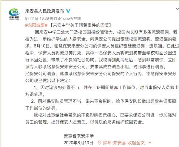阿黄|痛心，老校长养5年流浪狗被保安杀害！校方：辞退