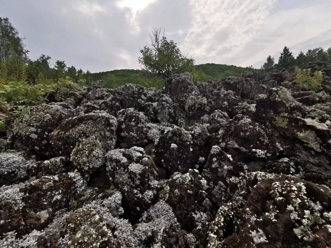 黑龙江火山熔岩地貌主要分布在五大连池,此外,还有一处分布在