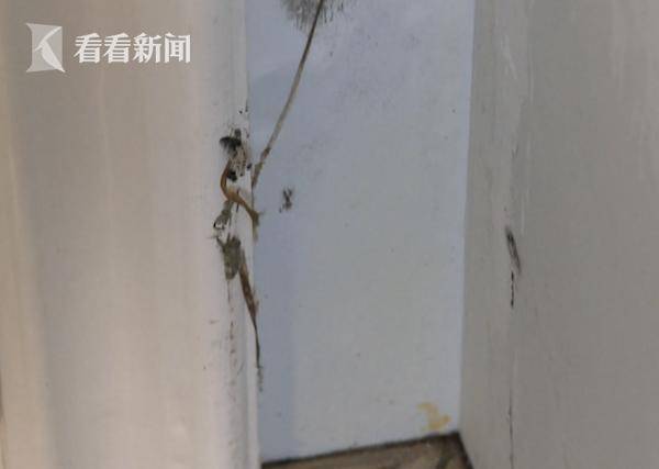 装修|精装房刚住不到一年，黑色蘑菇已“采摘”4次？！业主崩溃了