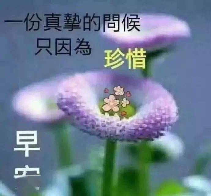 8月18特别漂亮的早上好问候祝福图片 2020新版早上好问候表情祝福图片