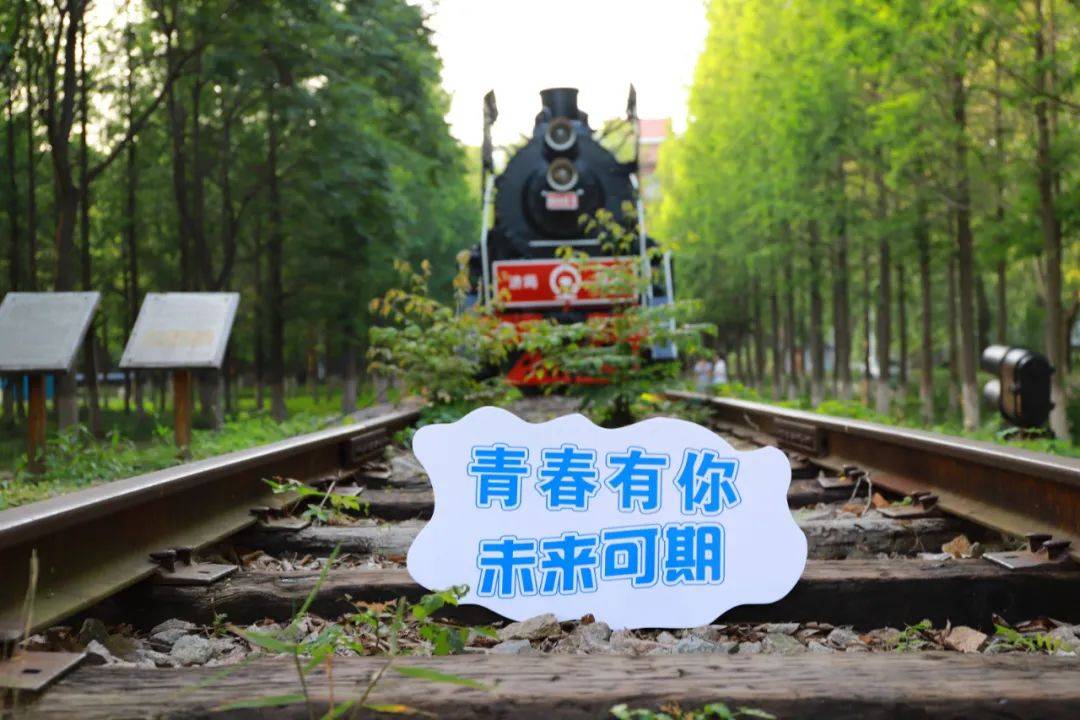 招生|招生季 | 青岛职业技术学院“等你来”！招生计划4400人、招生专业42个