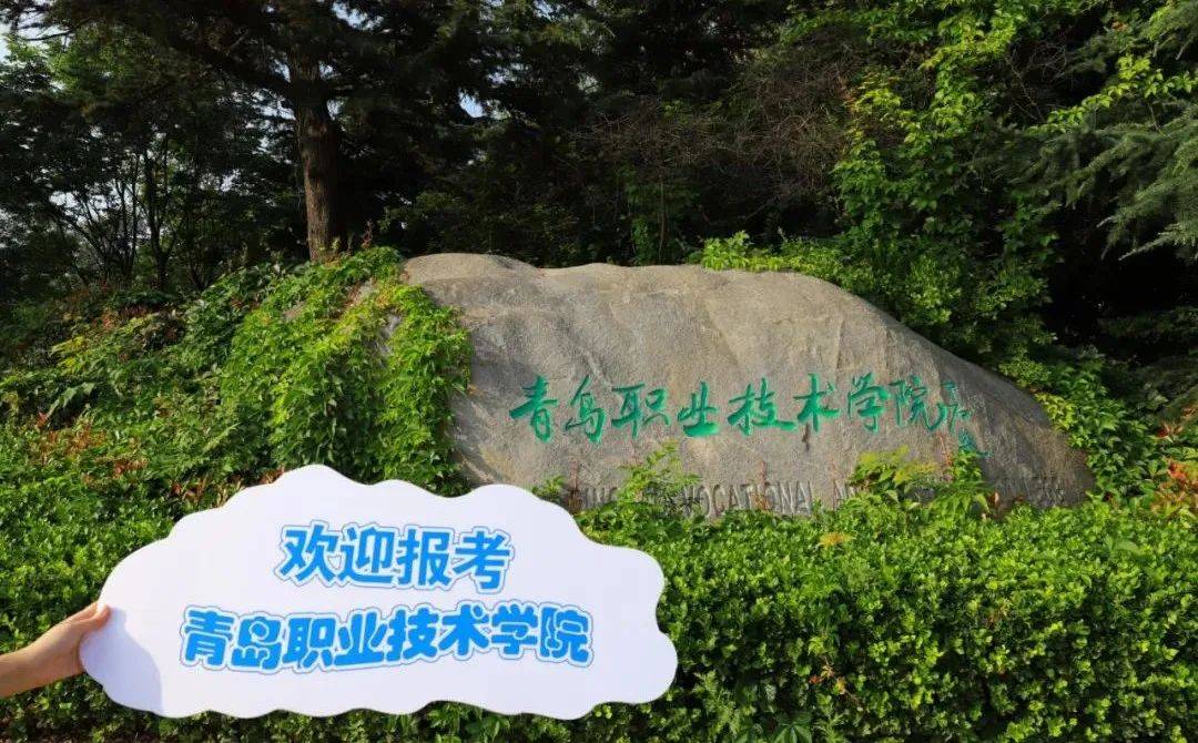 招生|招生季 | 青岛职业技术学院“等你来”！招生计划4400人、招生专业42个