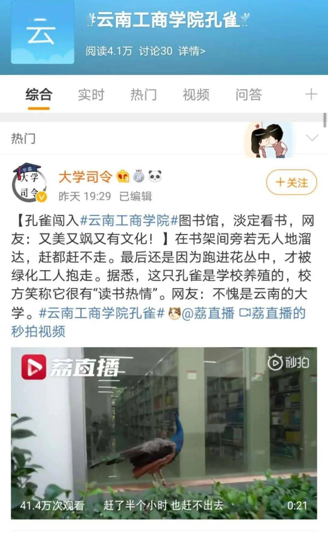 孔雀|又上热搜了！工商学院网红体质石锤！