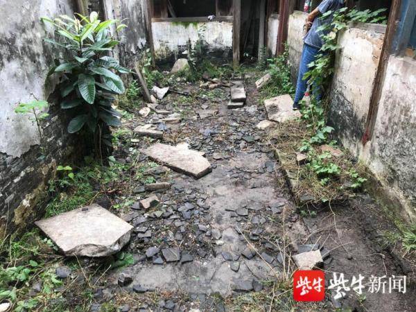 辛丰人口_人口普查(2)