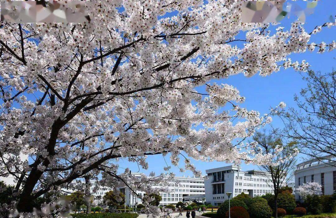 上海大学新主人们:入学必备测试,等你来挑战!