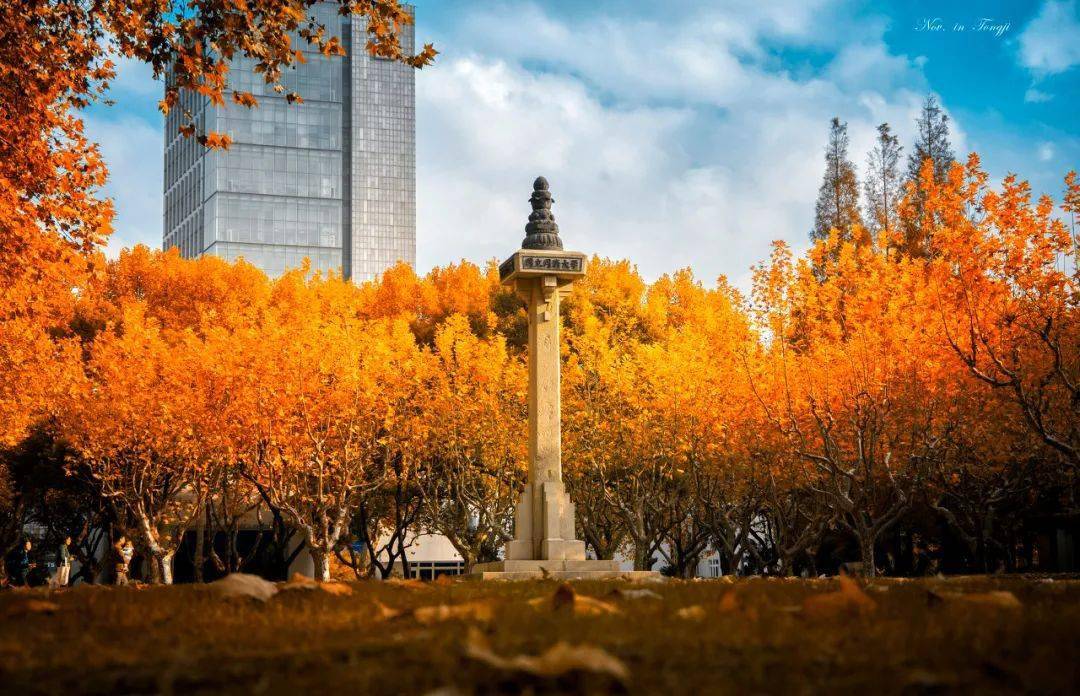 这个低分上名校的捷径，没你想得那么简单