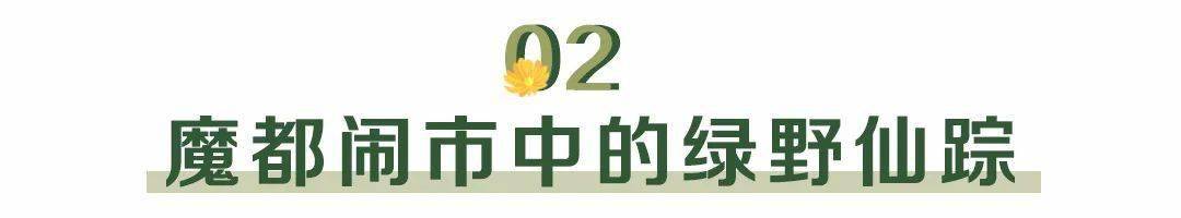 植物园|魔都也有了！帝都刷屏的“植物园餐厅”