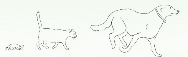 Truaxe|深扒The Ordinary