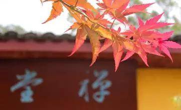 纪旭南|纪旭南说和优秀的人在一起真的很重要！