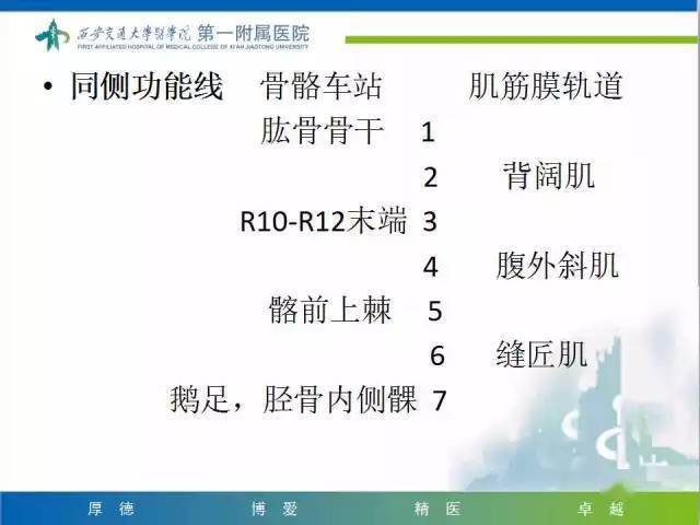 解剖筋膜链