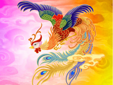 今天早上梦见两只灰色的凤凰，古老图腾的现代寓言与心灵启示