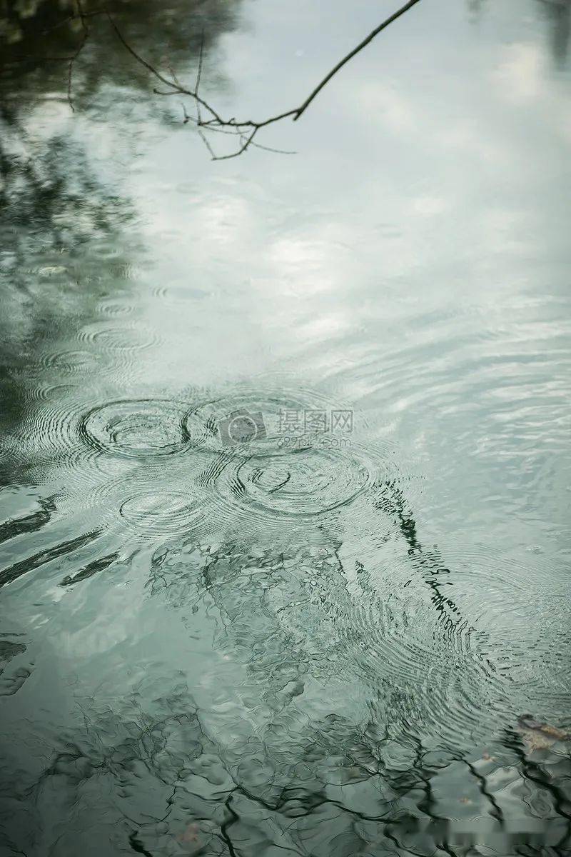 张家声 朗诵《雨前》作者 : 何其芳