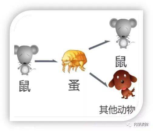 易感人口_易感人群图片