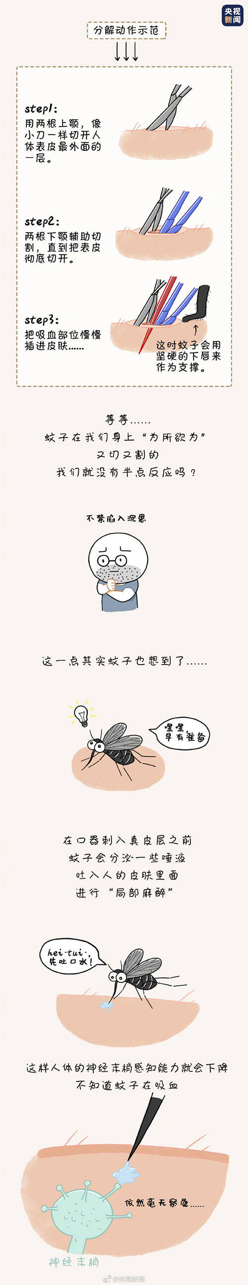 拷问|灵魂的拷问！为什么蚊子总能悄咪咪叮人？