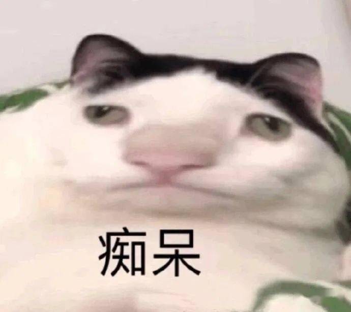 39795159b4204338a4664e250ab16637.jpeg