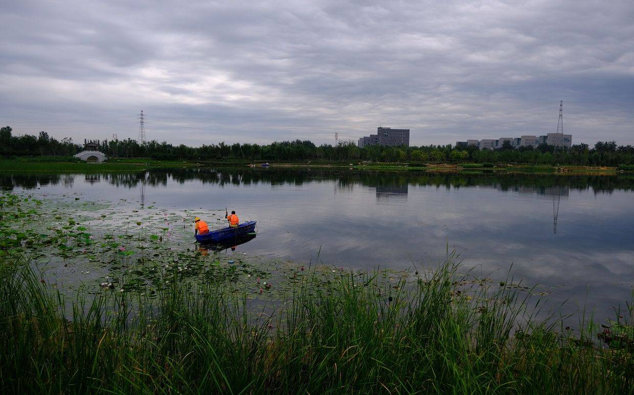 通州|北京郊区绿了起来 通州怀柔密云年底将实现创森目标