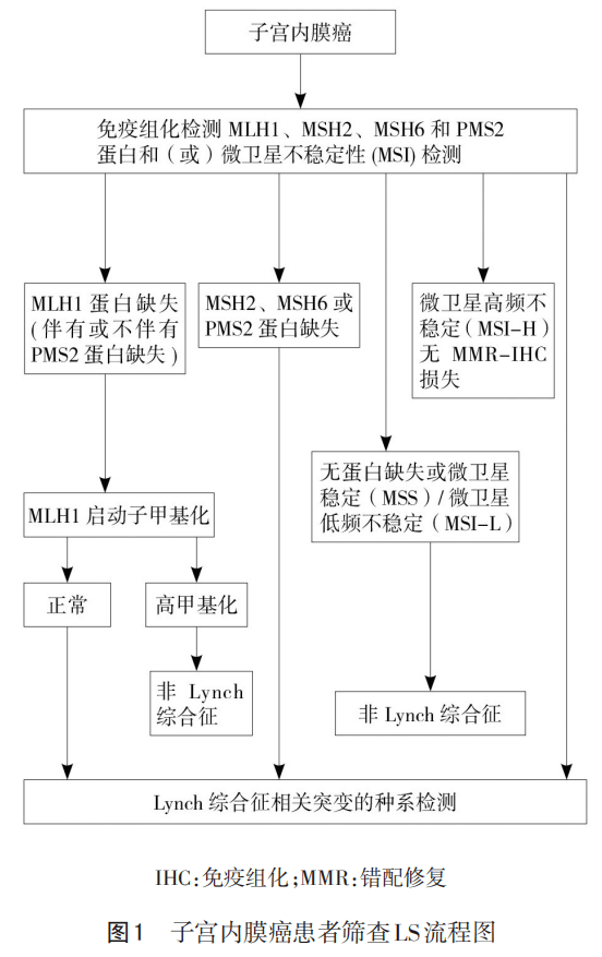 目前,妇科的其他肿瘤如子宫肉瘤,外阴癌,阴道癌以及子宫颈鳞状细胞癌