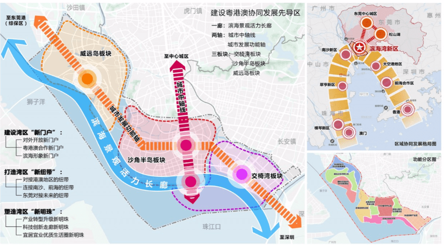 奉贤海湾未来导入人口_奉贤海湾森林公园图片(2)