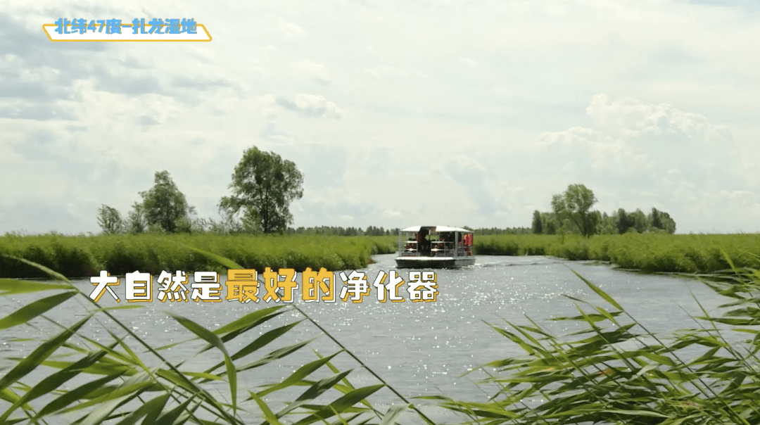 奶粉|看看咱们自己的飞鹤标准！新鲜在身边 | 飞鹤&中亿孕婴云溯源