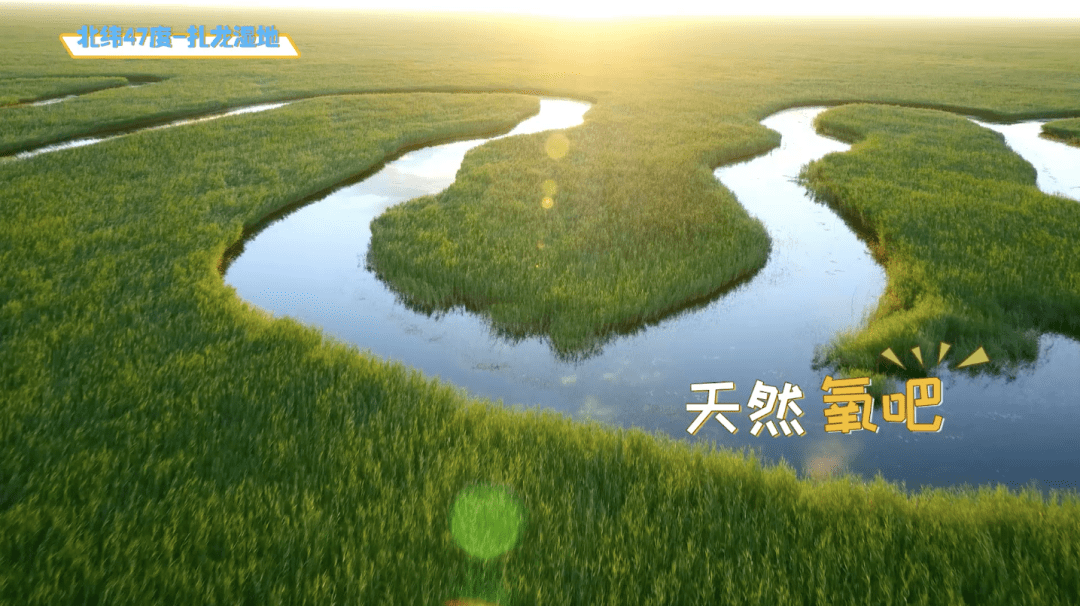 奶粉|看看咱们自己的飞鹤标准！新鲜在身边 | 飞鹤&中亿孕婴云溯源